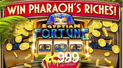 A Experiência Imersiva dos Cassinos Ao Vivo no cc999